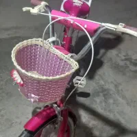 دوچرخه 20|دوچرخه، اسکیت، اسکوتر|قروه, |دیوار