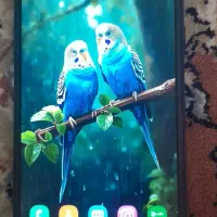 گوشی سامسونگ A10s سالم