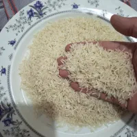 برنج فجر حدودا۳۰۰کیلو
