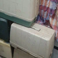 جعبه ژانومه