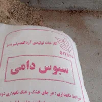 سبوس گندم دامی