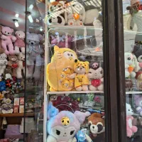 عروسک پولیشی اورجینال و ایرانی|اسباب‌بازی بچه|میانه, |دیوار