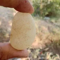 انواع واقسام سنگ