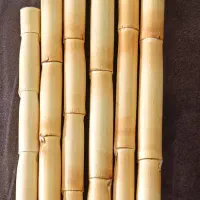 گره نی خام صاف شده