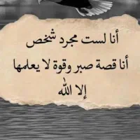 راهنمایی کنیدلطفا