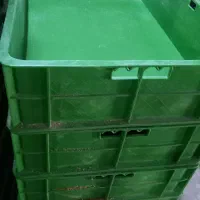 سبد میلورم