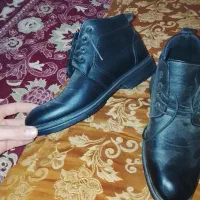 کفش نیم بوت مردانه و طوطی|کیف، کفش، کمربند|باخزر, |دیوار