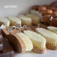 فروش انواع فرچه، برس و جارو