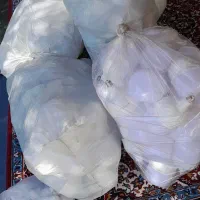 فروش لامپ های مختلف  با قیمت مناسب