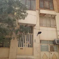 فروش خانه ویلایی ۲۵۰ متری ۵ خوابه در عامل|فروش خانه و ویلا|مشهد, عامل|دیوار
