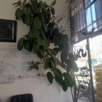 زمین ۵۰۰متری مناسب باغ کشتان روبروی پمپ  معنوی