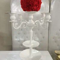تجهیزات تالار/کاپ گلدان شارلوت