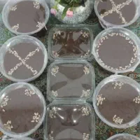 حلوا سین (جوانه گندم)