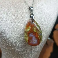 پلاک شجر|بدلیجات|لاهیجان, شیخ زاهد|دیوار