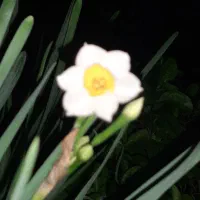سلام تعدادی آدم نیکوکار نیازمندیم