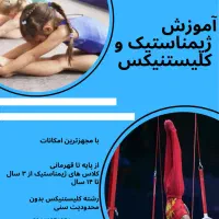 آموزش ژیمناستیک و کلیستنیکس