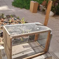 تله زنده گیر گربه و موش بزرگ
