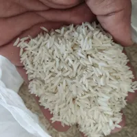 برنج هاشمی|خوردنی و آشامیدنی|قم, بنیاد|دیوار