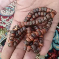 کلکسیونی و قدمت دار|کلکسیون اشیاء عتیقه|شیراز, میانرود|دیوار