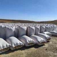 خریدار کاە گندم