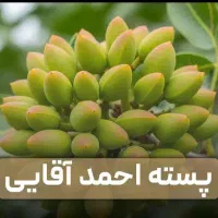 فروش و عرضه مستقیم نـهـال با تضمیــن