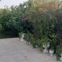 اجاره ویلاباغ تکمیل و نزدیک ، امن قیمت مناسب|اجارهٔ کوتاهمدت ویلا و باغ|بهبهان, |دیوار