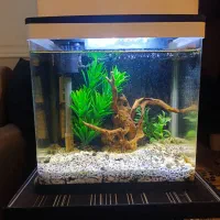 آکواریوم ۳۲۰ kدلسا تکمیل