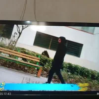 تلویزیون|تلویزیون و پروژکتور|ورامین, ورامین|دیوار