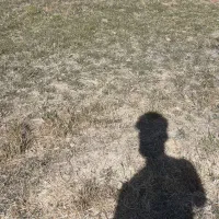 دو عد بر ماد|حیوانات مزرعه|سنقر, |دیوار