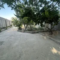 440-متر-4-دیوار-مستقل-سند-تک-برگ-بلوار-اصلی-بکه