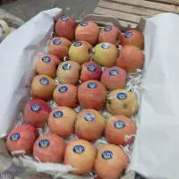 سیب دورج قرمز ریز قالب|خوردنی و آشامیدنی|میاندوآب, |دیوار