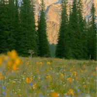 زمین-باغشهری-اهل-بیت-صدرا