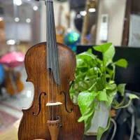 ویولن های تمام حرفه ای