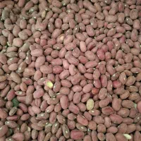 لوبیا سفید وقرمز|عمده‌فروشی|فریدونشهر, |دیوار