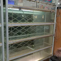 قفسه ویترین