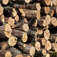 هیزم برای شومینه