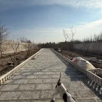 باغ-1625متری-سند-دار-بکه-شهریار