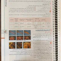 کتاب کنکور یازدهم/ زیست ۲ خیلی سبز / دست نخورده|کتاب و مجله آموزشی|قم, سعادتی|دیوار