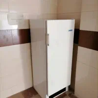 یخچال ارج 10 فوت