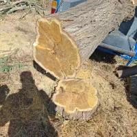 خریداره چوب همه نوع همه جا