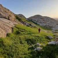 سبزی تره کوهی کجا پیدا کنم