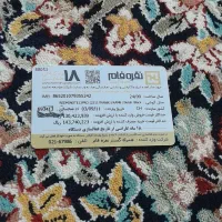 شیائومی نوت 13 پرو|موبایل|پرند, فاز ۴|دیوار