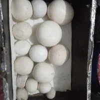 باسلام سنگهای الماس سنگ آسیاب اصلی وسخت وزیبا|جواهرات|نجفآباد, یزدانشهر|دیوار