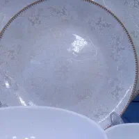 چینی پردیس درجه یک 24نفره|ظروف سرو و پذیرایی|سقز, |دیوار