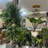 سفره خانه هفت خان