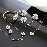 تمام اجناس ودکور
