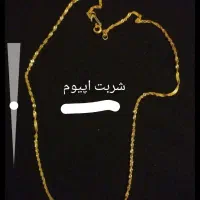 بدلیجات