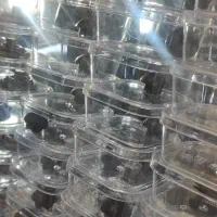 تعمیرات انواع زودپز های دبلیو ام آف و کیلیپسو|ظروف پختوپز|تهران, هرندی|دیوار