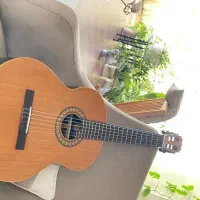 ساخت و تعمیرات گیتار