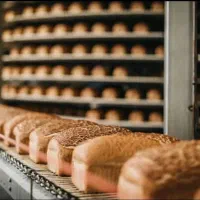 شرکت کیک کلوچه/کارگرخانم آقا،راننده،موزع،حراست|استخدام صنعتی، فنی، مهندسی|تهران, خاوران|دیوار